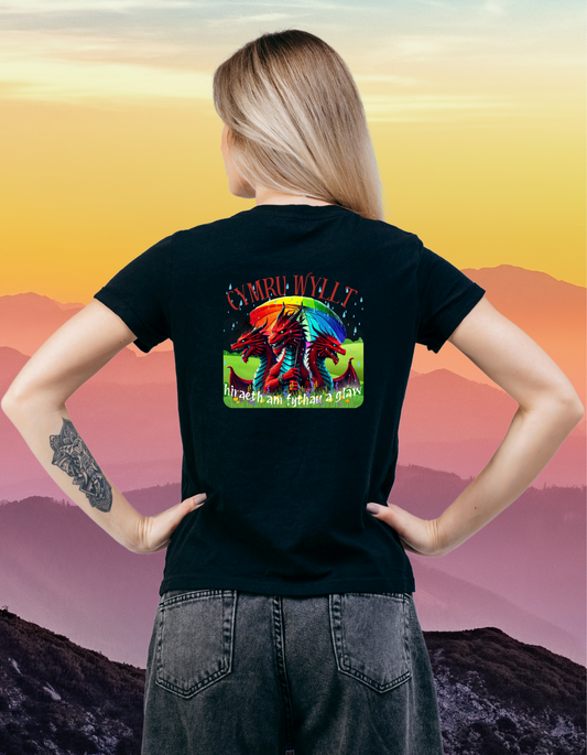 Cymru Wyllt Dragon Hoodie – Welsh Fantasy T-shirt – Rainbow Mythical T-shirt – Hiraeth Quote Unisex 100% cotton – Welsh Gift